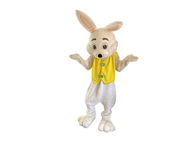 Character party entertainment