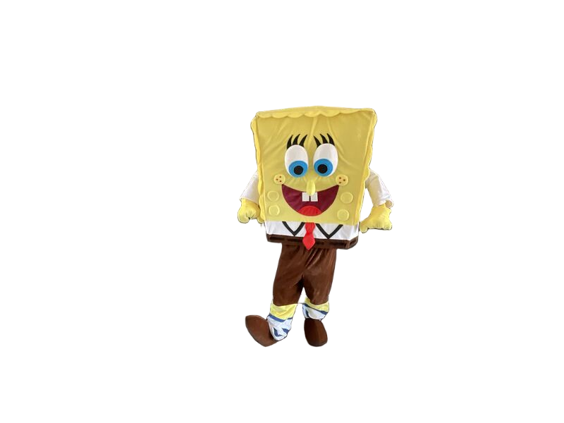 Character party entertainment