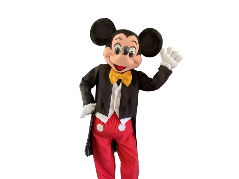 Character party entertainment